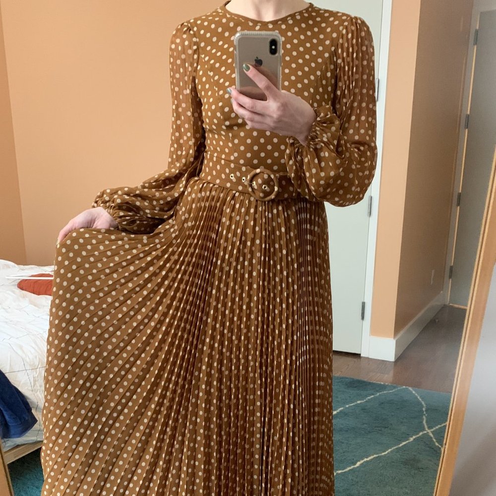 Zimmermann polka dot dress